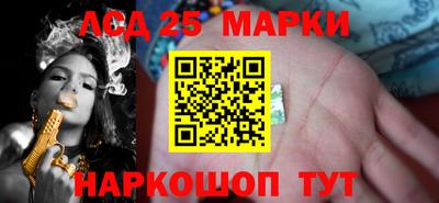 индика Сланцы