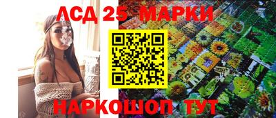индика Сланцы