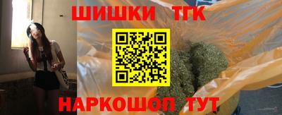 индика Сланцы