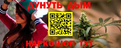 индика Сланцы
