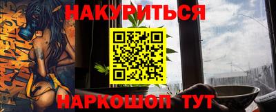 индика Сланцы