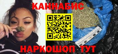 индика Сланцы